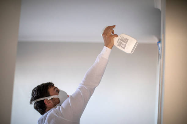 Best Local Mold Removal Service  in Elm City, NC