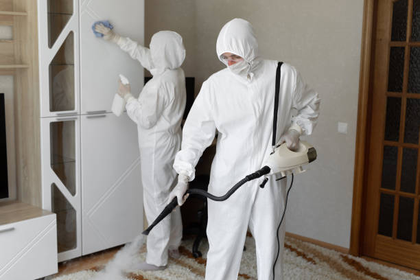Mold Removal and Inspection in Elm City, NC