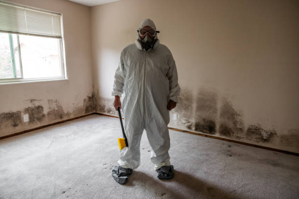 Best Office Mold Removal Services  in Elm City, NC